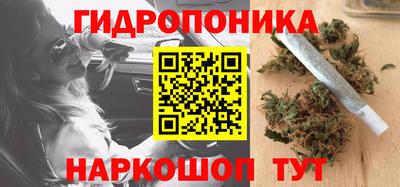 дурь Шелехов