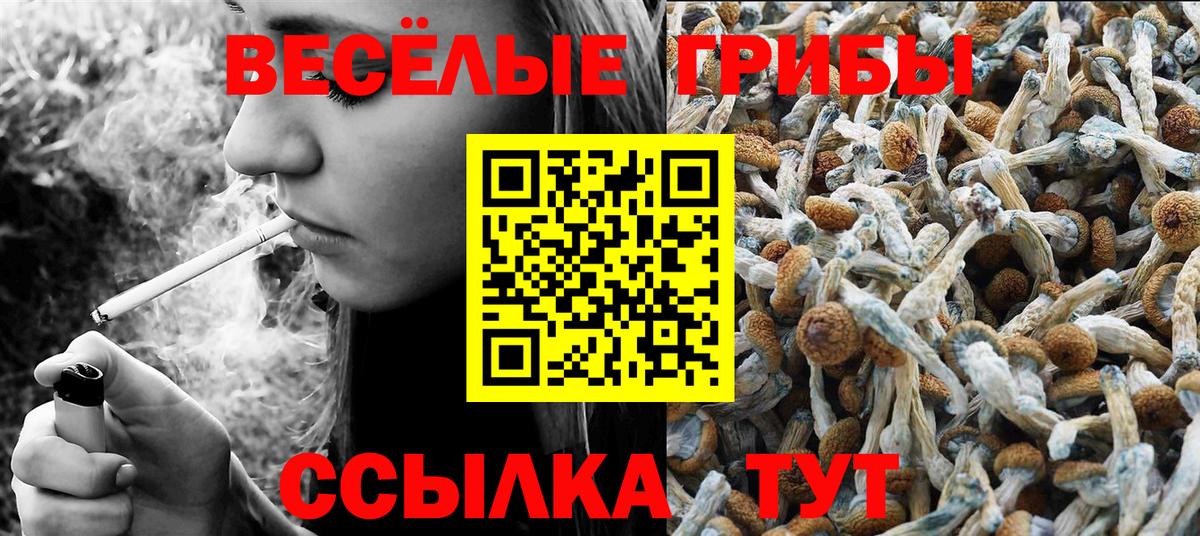 Галлюциногенные грибы мухоморы  Галлюциногенные грибы Magic Shrooms  Ачинск  Вход с VPN 